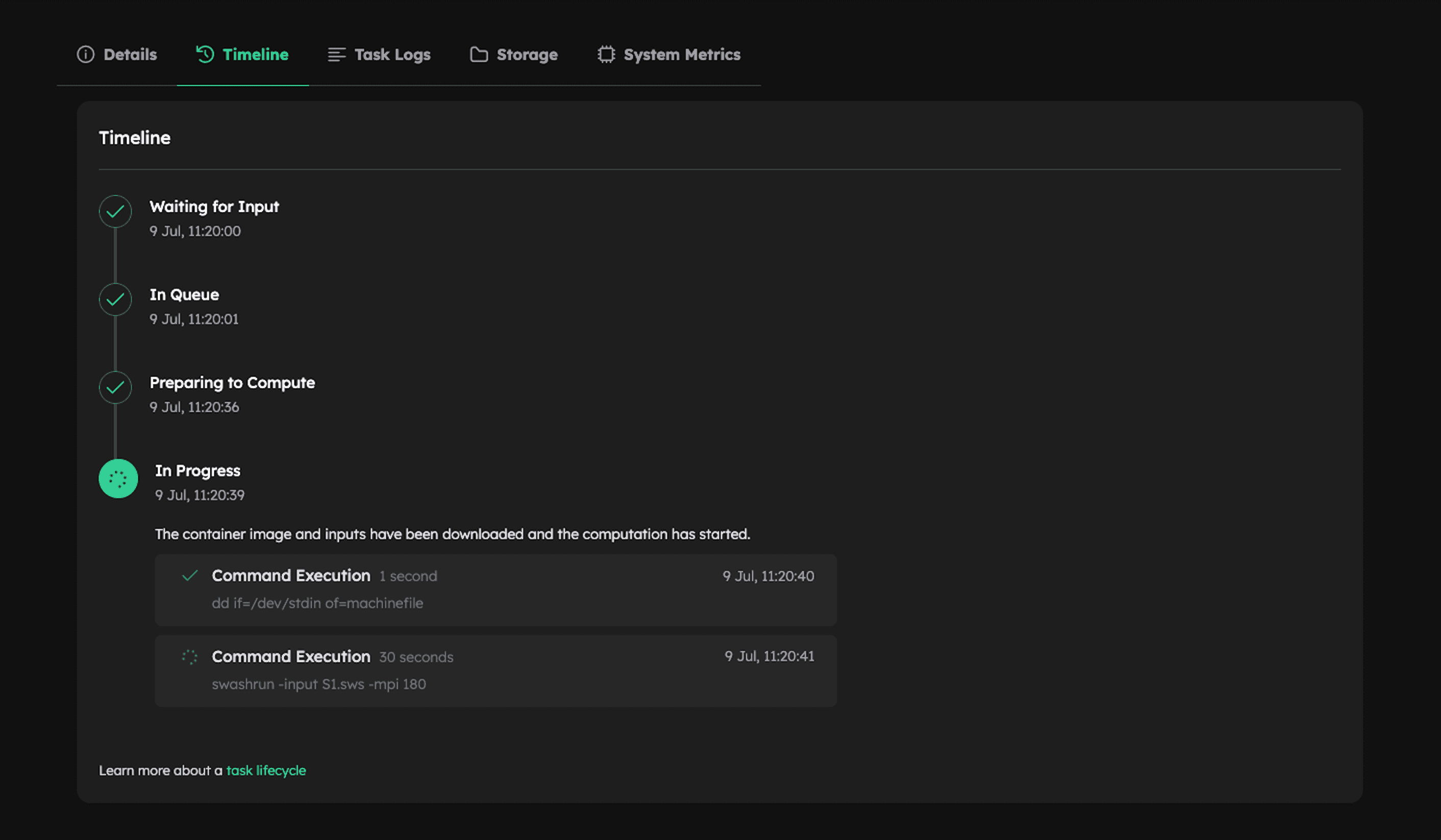 "Task details view in the Inductiva Console"