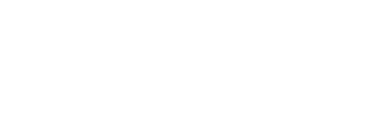 Machine Learning Summer School Logo